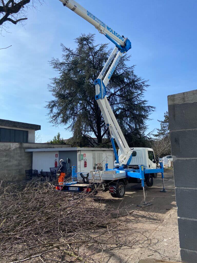 Premium Giardini Manutenzione Alberi grandi fusti con gru Milano